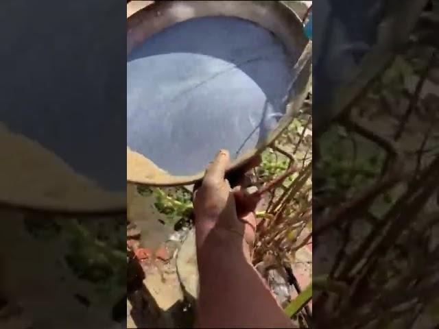 How to Clean Your Paella Pan in the Country Side