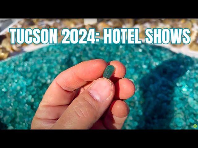 COLORFUL GEMS at Hotel Shows: Tucson Gem and Mineral Show 2024!