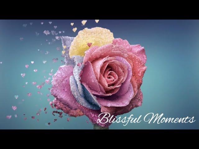 Blissful Moments by Mila Emerald Music - Relaxing Original Piano Music - Original Song