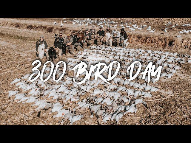 Snow Goose Hunting- GIANT RAINOUTS (300 bird day!)