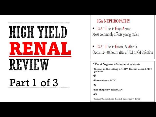 Renal Pance Review Part 1 of 3