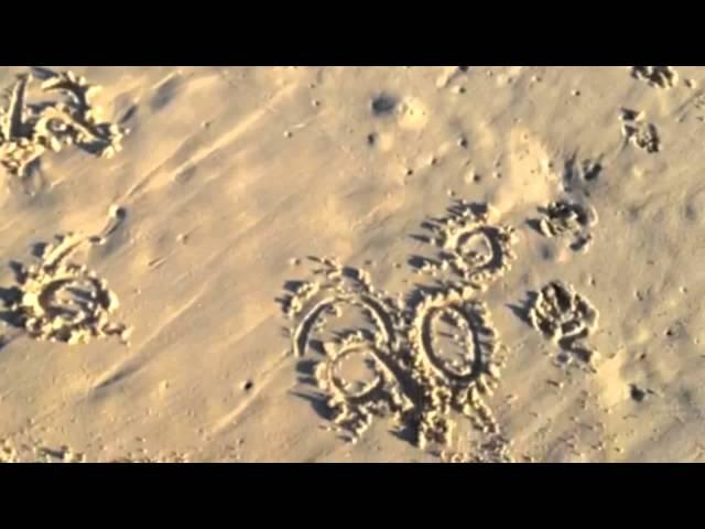 Tides of Byron with Rusty Miller - Surf report 31st July