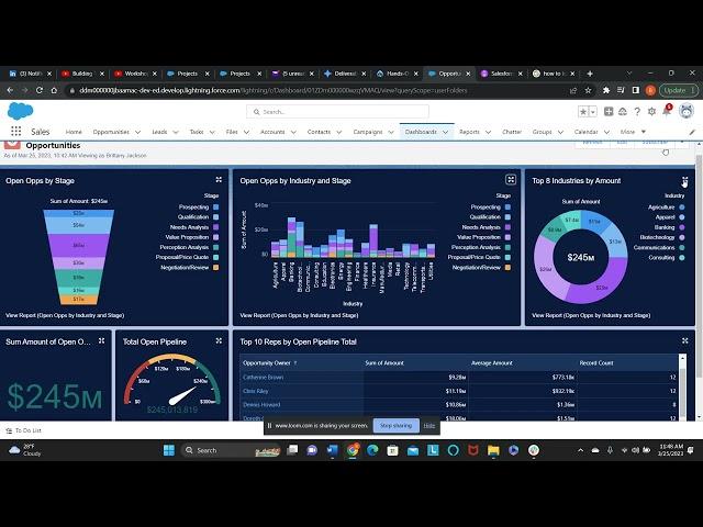 Opportunities Dashboard - Salesforce