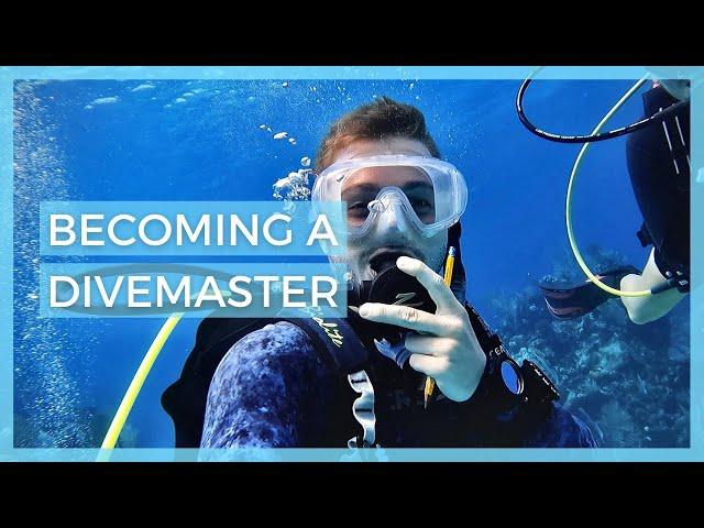 Becoming a DIVEMASTER - Everything you should know // Bay Islands College of Diving, Utila, Honduras