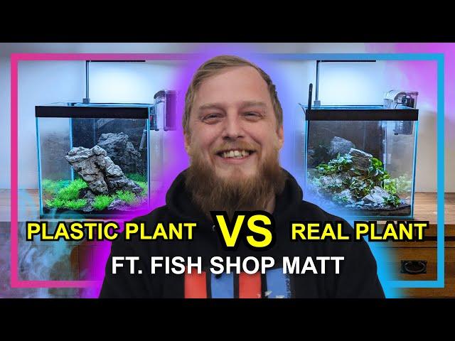 Plastic Plants VS Real Plants | @FishShopMatt Aquascapes Two Aquariums at Our Sales Managers House!