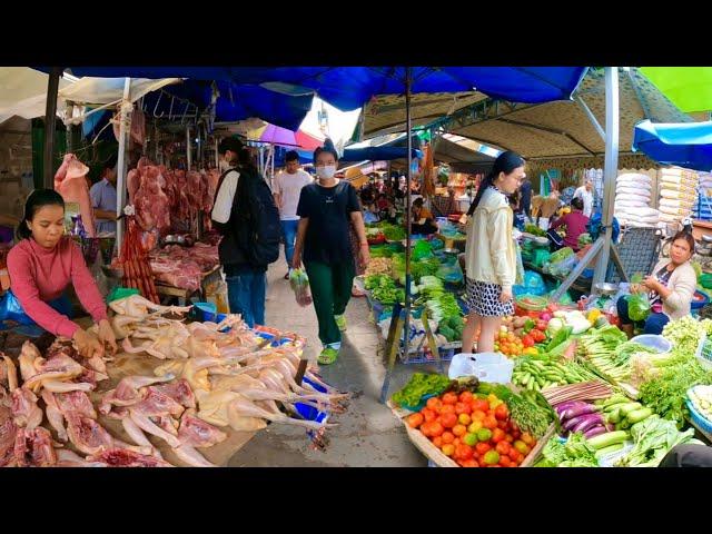 Morning Cambodian Fresh Market Food - Chicken, Pork, Fish, Fruits, Vegetables & More