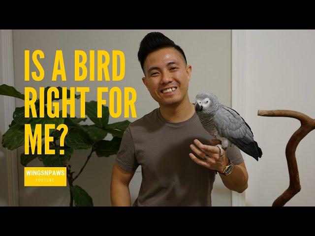 Is a Bird Right for Me?