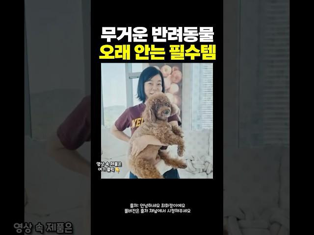 최화정의 반려견 필수템 #셀럽템
