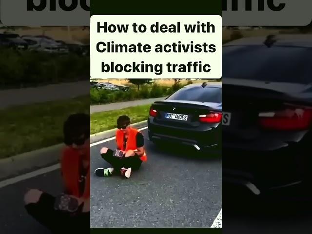 BMW M2  vs Climate Activists  #bmw #car #cars #auto #m2 #m3 #m4 #supercars #exhaust #bmwlove