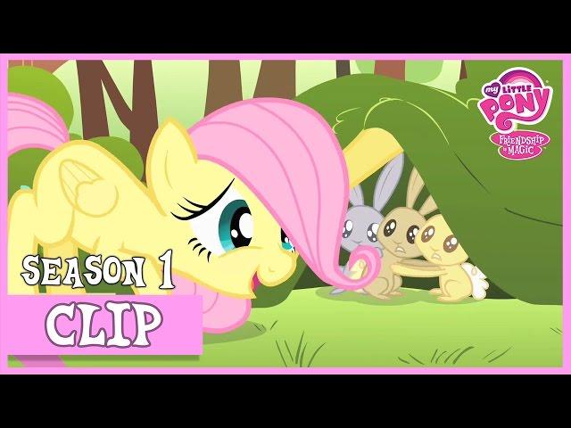 Fluttershy's Cutie Mark Story (The Cutie Mark Chronicles) | MLP: FiM [HD]