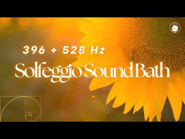 528 & 639 Hz Solfeggio Sound Bath | Pure Tone Tuning Forks & Singing Bowl | Heal & Cleanse Energy