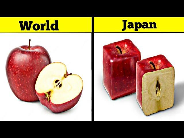 10 Things That Only Exists In Japan | Haider Tv