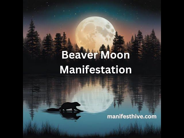 Beaver Moon Manifestation - Embrace the mystical powers