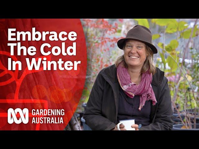 Brave The Cold This Winter | Gardening 101 | Gardening Australia