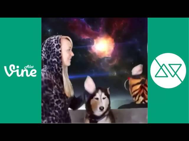 Little Einsteins Theme Song Remix Vine Compilation   Little Einsteins Rocket Ship Vines