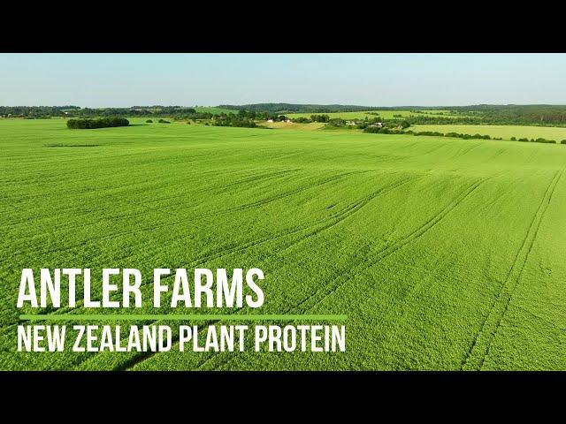 Antler Farms New Zealand Plant Protein - Pure, Clean & Complete