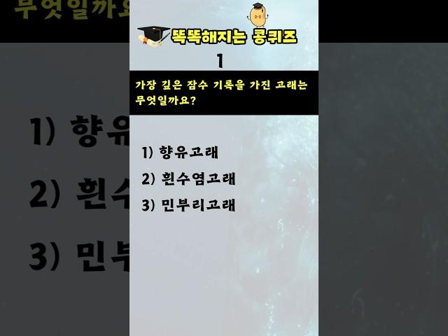 [상식퀴즈 - 121] 똑똑해지는 일반 상식퀴즈 문제, 상식 키우기, 지식퀴즈