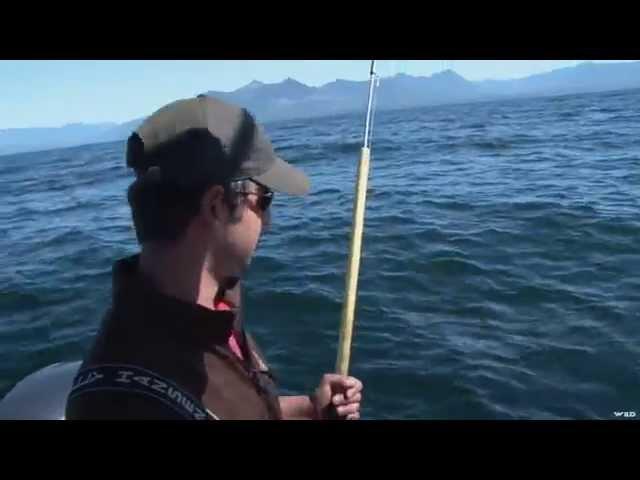 Halibut Fishing at Nootka Island BC