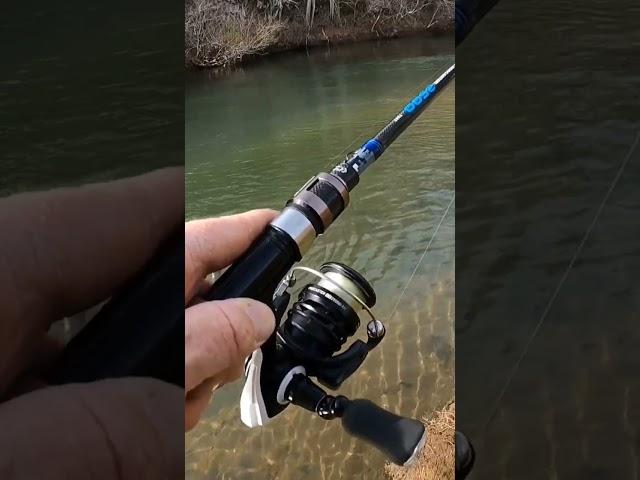 Huge Rainbow caught on a Rapala Jerkbait.  #shorts #rainbowtrout  #fishing