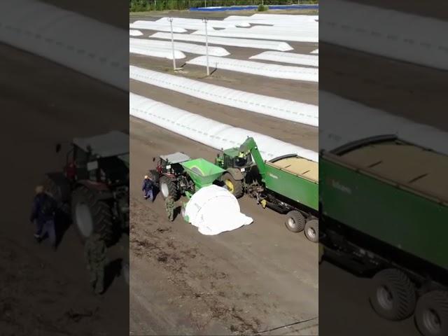 Какие преимущества дает хранение зерна в рукавах?