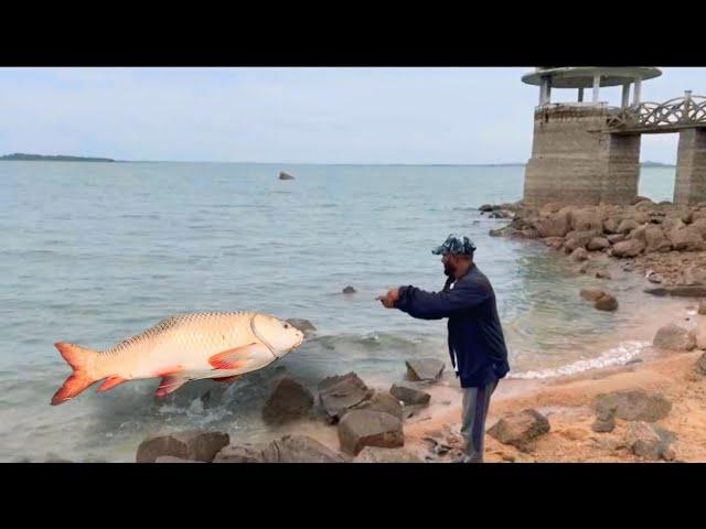 How To Feeder Fishing | winter season fly fishing for trout | Rohu Fish Catching video | Fishing