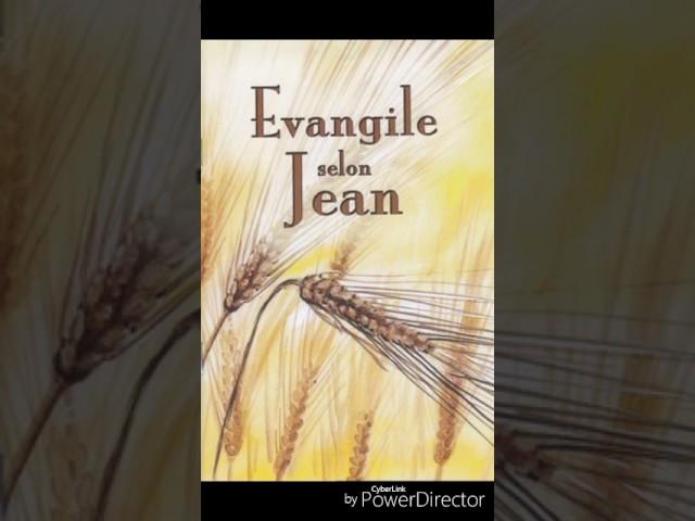 ÉVANGILE DE JEAN (AUDIO)