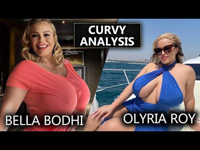 The Curvy Analysis For Bella Bodhi Vs Olyria Roy