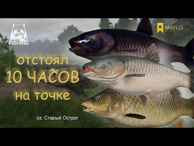 Фул садок трофеев за 10 часов на точке | Русская Рыбалка 4 | РР4 MAYLO