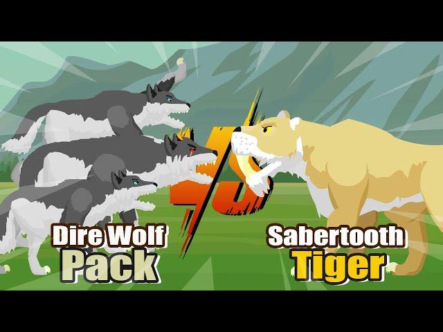 Dire Wolf Pack vs Sabertooth Tiger|Prehistoric Animals Tournament [S1] |Prehistoric Animal Animation