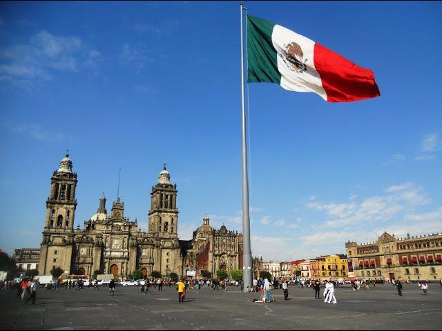 Aldera Dis ticaret exportan hojas secas de laurel a México