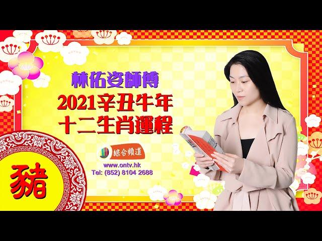 【林佑姿師傅 2021年十二生肖運程 (肖豬)】