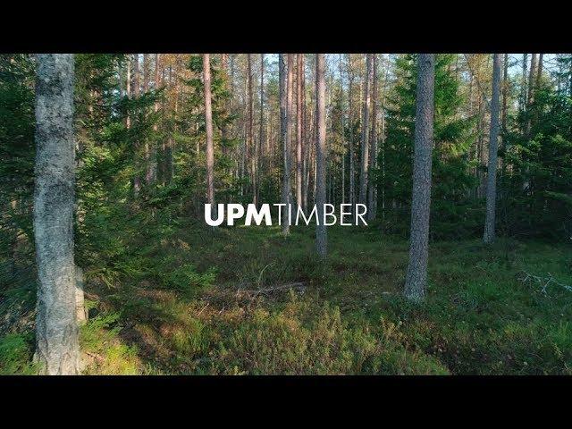 UPM Timber – the most trusted timber service in the world