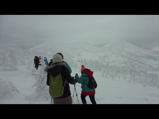 Time of Travel : Mt. Hakkoda in the winter and Soft rime (Aomori city, Aomori, Japan)