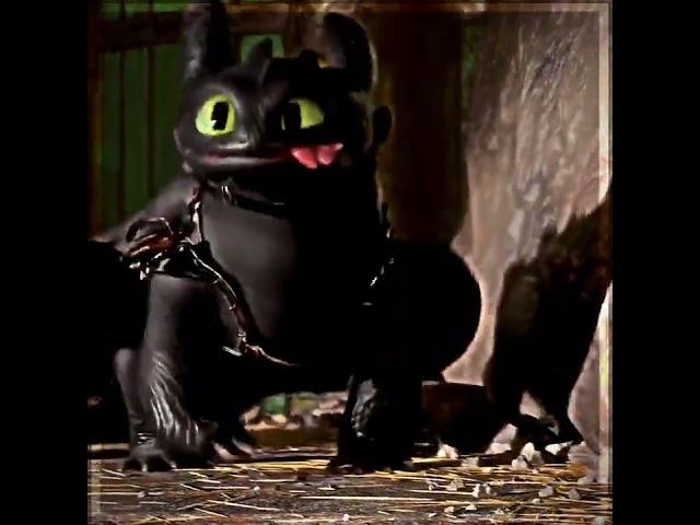 Toothless&Dart//#edit #httyd #toothless #Dart #fypシ #fyp #foryou #howtotrainyourdragon3