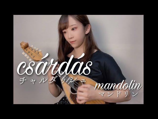 【マンドリン】csárdás チャルダッシュ マンドリン 藤川亜依里　Csárdás on the mandolin