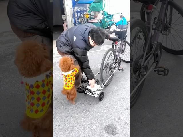 This boy did not move the bill forward #shortvideo