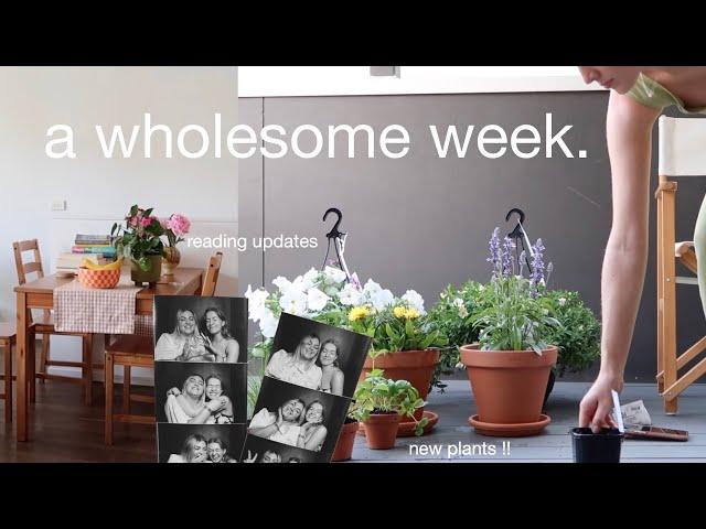 a wholesome week | plant shopping, chronic illness chats & reading