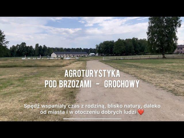 Agroturystyka Pod Brzozami Grochowy - idealne miejsce na czas z rodziną, blisko natury