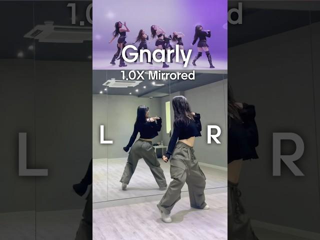 KATSEYE - Gnarly 캣츠아이 - 날리 거울모드 #kpopdancetutorial #katseye #katseyegnarly #gnarly #gnarlychallenge