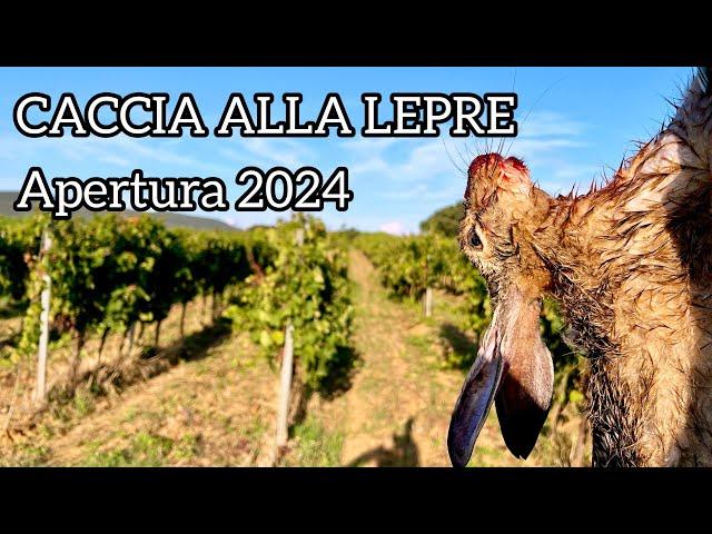 CACCIA ALLA LEPRE | Apertura 2024