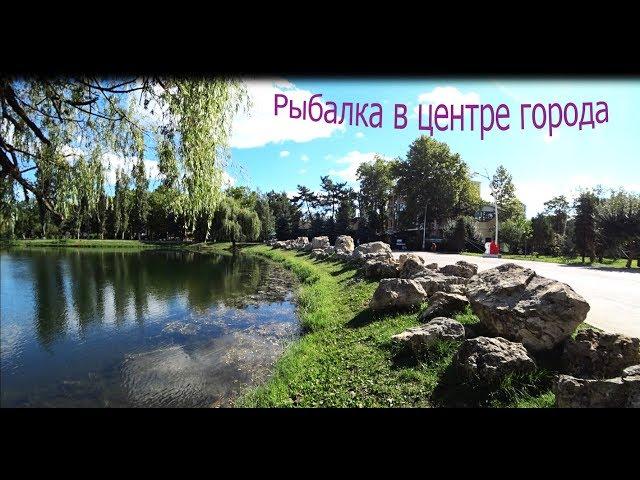 Рыбалка,Крым,Гагаринский Парк.РЫБАЧУ В ЦЕНТРЕ ГОРОДА.