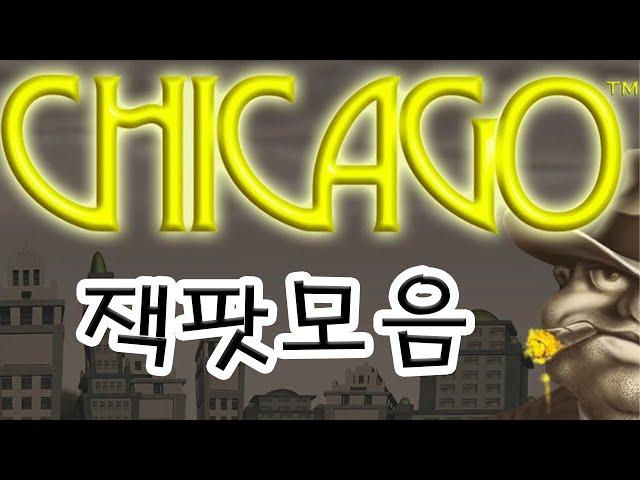 강원랜드 시카고 슬롯머신 잭팟모음 / Casino Chicago Slot Machine Jackpot collection