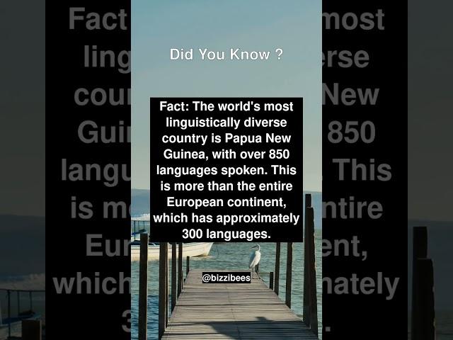 Did You Know Facts - Cultural Diversity