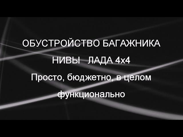 Простейший органайзер в багажник Нивы Лада 4х4. Небольшой опыт.