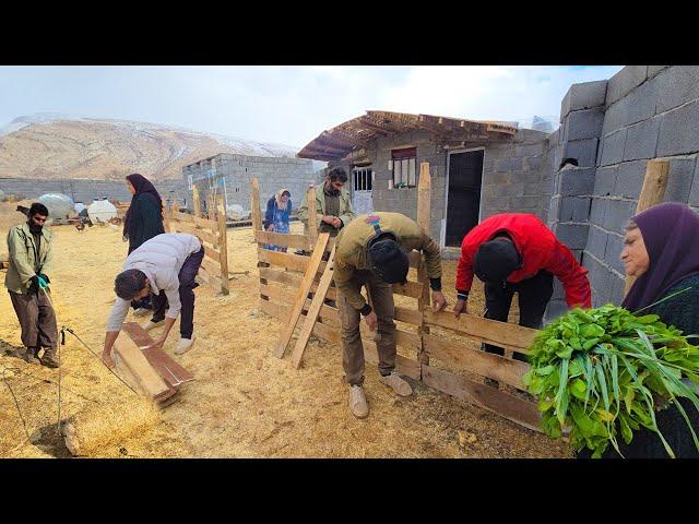 ️Amir and Family Transform Their Backyard in the Rain!