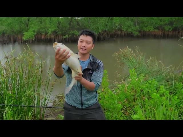 Mangrove fishing in the middle of a stormy day