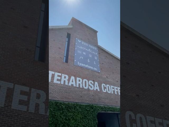 Terarosa Coffee & Roastery / Best Cafe in South Korea and Stan's Drink Choice!!