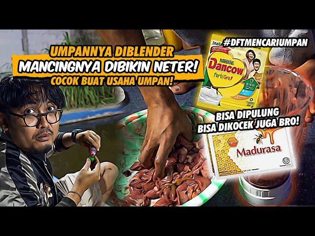 RACIKAN UMPAN TISU BIKIN LELE MACOK GAPAKE MALU! MODAL DIKIT MANCING BISA BERKALI2! #DFTMENCARIUMPAN