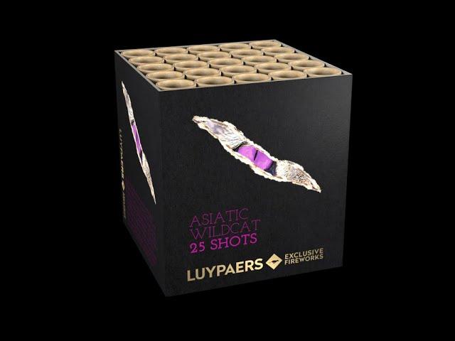 Asiatic Wildcat - Luypaers Nederland Exclusive Fireworks - 8456