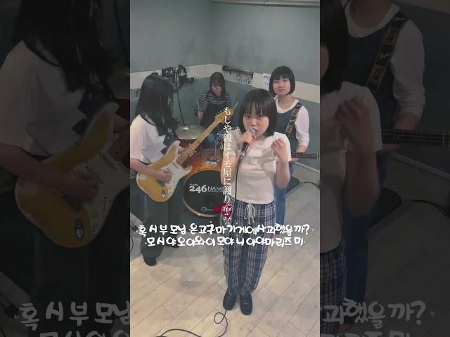 표정변화가 다양한 일본판 츠키4 #츠키 #하쿠밴드#haku